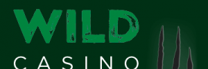 wild-casino-logo